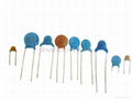 Ceramic Capacitor