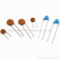 High / low voltage ceramic disc capacitor 1