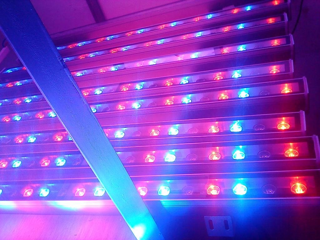 LED洗牆燈 3