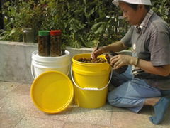 Food, butter, honey, jam Containers