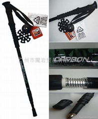 Trekking/Hiking Pole