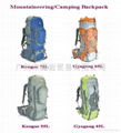 Travel Backpack Hip Bag Shoulder Bag 1