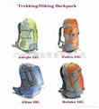 Travel Backpack Hip Bag Shoulder Bag 2