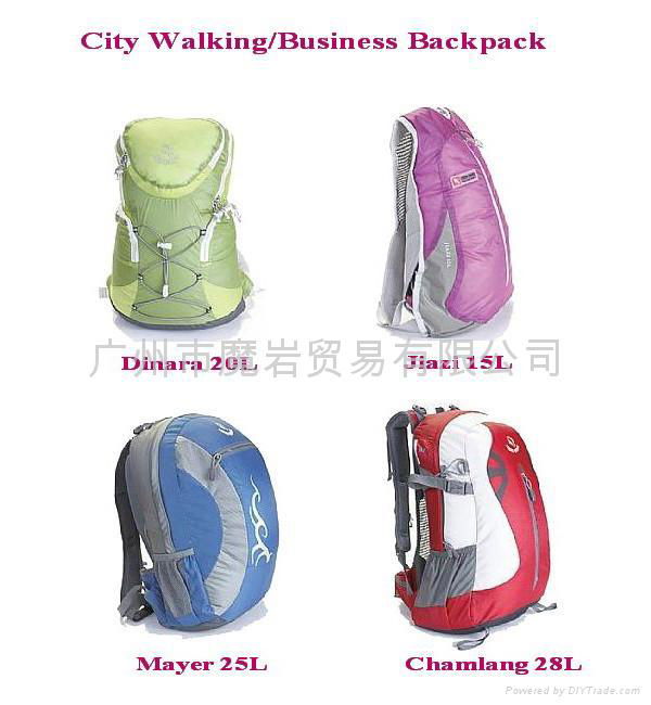 Travel Backpack Hip Bag Shoulder Bag 4