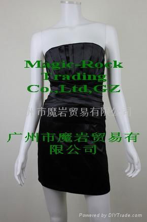 Fashion Strapless Dress/Skirt 2