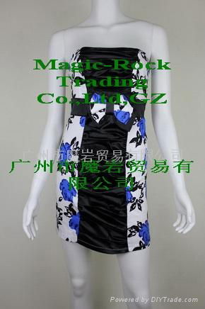 Fashion Strapless Dress/Skirt 5