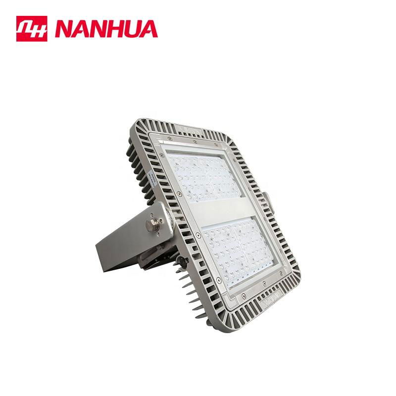 LF30X Series LED Flood light 2