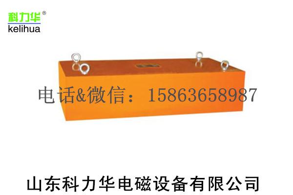 RCYB系列人造板铺装专用升降式永磁除铁器  3