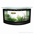 aquarium receptionist desk