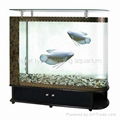 bullet type bending aquarium 4