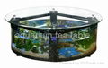 aquarium tea table 3