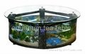 aquarium tea table