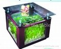aquarium tea table 4