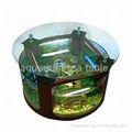 aquarium tea table 5