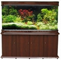 arch face type bending aquarium 2
