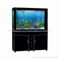 aquarium screen-glass series 2