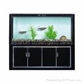 aquarium screen-glass series 3