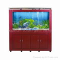 aquarium screen-glass series 5