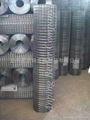 welded wire mesh 2