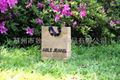 Kraft paper shopping bag 1