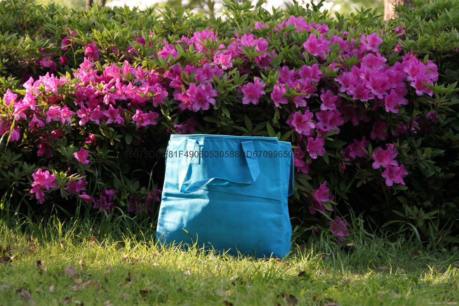 The picnic bag 4