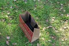 kraft paper bag