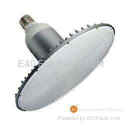 E40 60W LED canopy Lamps 3