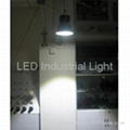 LED Industrial Light 50W 3