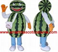 watermelon costume