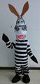 Madagascar zebra mascot costume adult