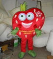 adult strawberry mascot costume