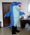 Dolphins mascot costume