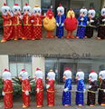 Year of rooster mascot costume