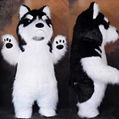 giant furry Husky mascot costume plush