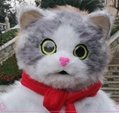 white cat inflatable costume kitty costume for adult