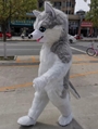 Siberian Husky costume adult inflatable Husky costume