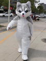 Siberian Husky costume adult inflatable