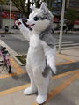 Siberian Husky costume adult inflatable Husky costume