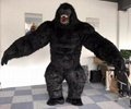 king kong costume inflatable gorilla costume for adult black colour 5