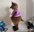adult mole mascot costume custom mascot outfits 3