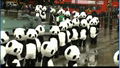 Adult panda Costume Corporation School
