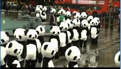 Adult panda Costume Corporation School Sports Mascot