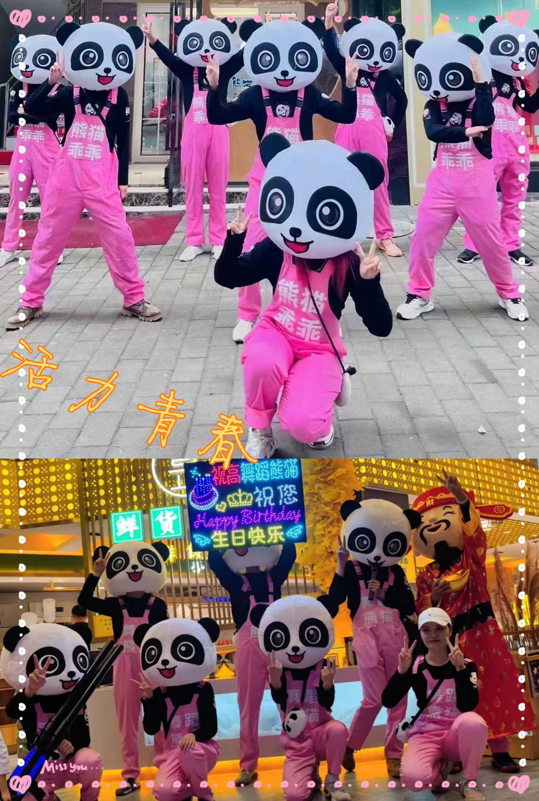 Corporation School Sports Mascot adult panda costume