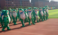 adult kids frog costume custom school mascots 