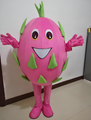 fruits apple pineapple mango strawberry watermelon mascot costume