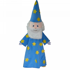 adult wizard mascot costume