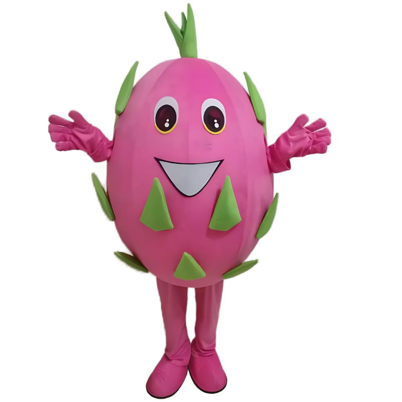 fruits apple pineapple mango strawberry watermelon mascot costume