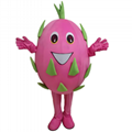 fruits apple pineapple mango strawberry watermelon mascot costume