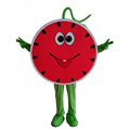 fruits apple pineapple mango strawberry watermelon mascot costume