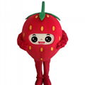 fruits apple pineapple mango strawberry watermelon mascot costume